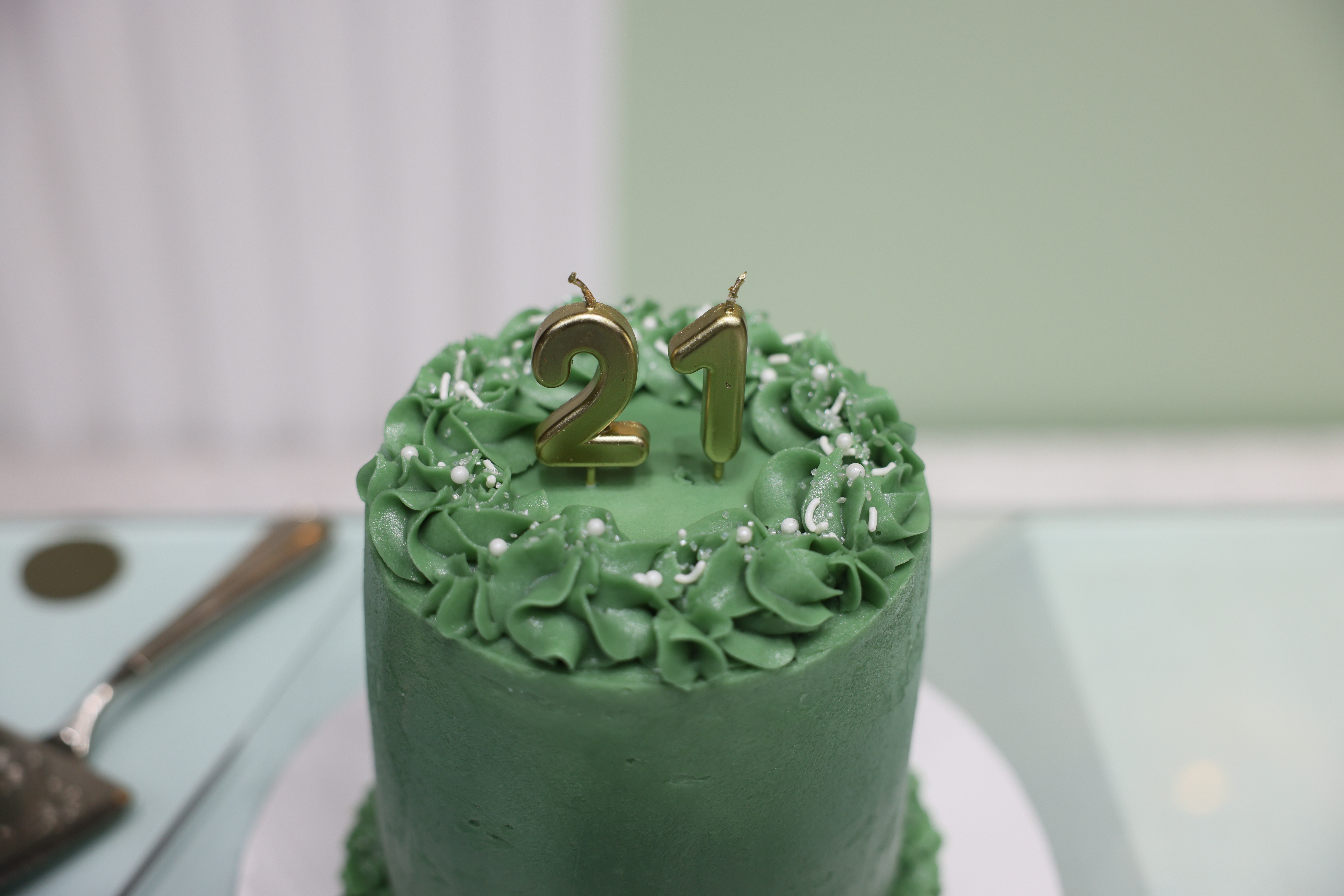 Mathura 21st Birthday Photo 5